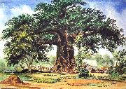 Thomas Baines Baobab Tree oil painting reproduction